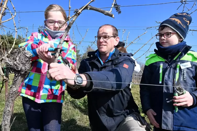 Kinderwingert 2022 in Maikammer: Winzer Gerald Groß zeigt Hanna und Paul, wie Rebstöcke richtig zugeschnitten werden. 