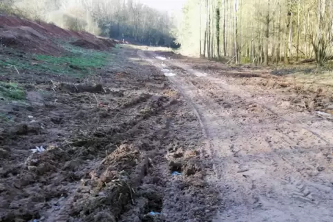 Diesen Weg im Steinbachtal hatte die Gemeinde unlängst mit einigem Aufwand hergerichtet - jetzt sieht er so aus...