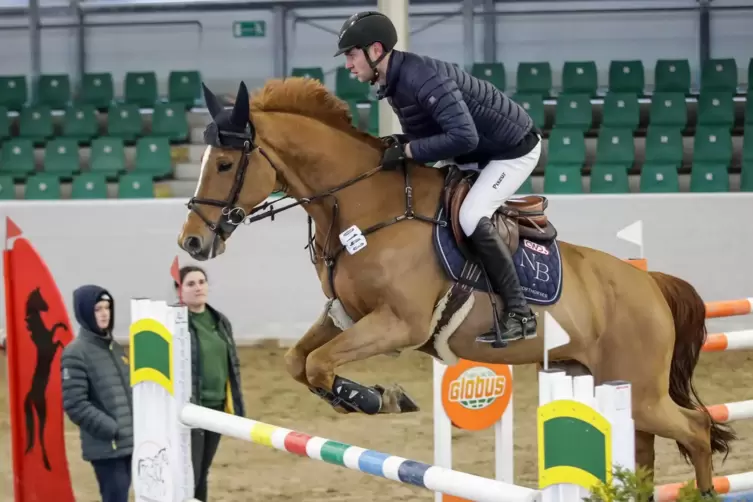 Der Limbacher Niklas Betz sprang mit Gylord Carthago einem souveränen Sieg im M*-Springen am Sonntag entgegen.