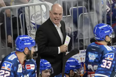 Wählte drastische Worte: Adler-Trainer Bill Stewart. 