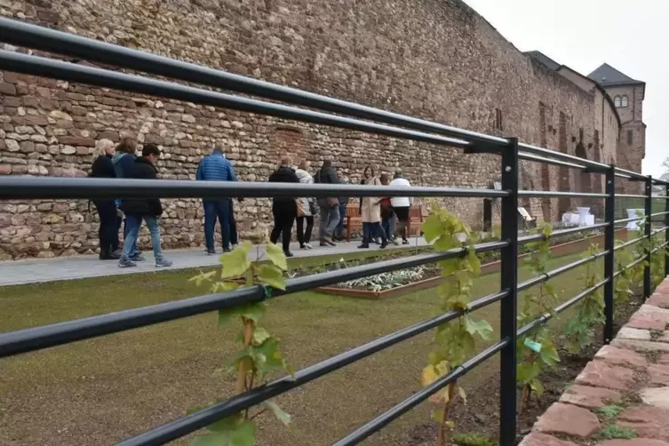 Im Frühjahr können Besucher nicht überall direkt an der alten Stadtmauer von Worms entlang flanieren. 