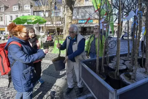 Etliche Gartenbesitzer freuten sich bei der Premiere 2022 über einen Apfelbaum von der Grünen-Fraktion. 
