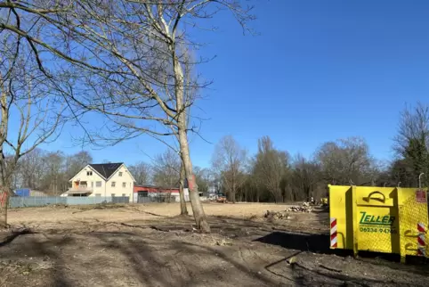 Das Gelände zwischen den Schrebergärten entlang der Werftstraße und der alten Schiffbrückenstraße wurde abgeholzt. 