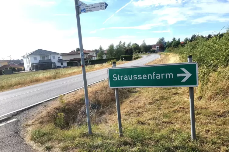 Die Straußenfarm am Ortseingang von Hermersberg gibt es nicht mehr. Ein Interessent will auf dem Gelände eine Freiflächenphotovo