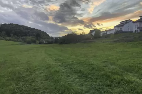 Angrenzend an das Wohngebiet »In den Hopfengärten« sollen in Winnweiler ein Seniorenzentrum und ein Mehrfamilienhaus entstehen. 