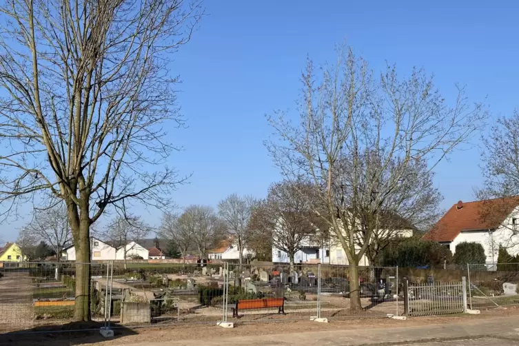 Am Schwedelbacher Friedhof mussten kranke Bäume an der Einfriedung gefällt werden. 