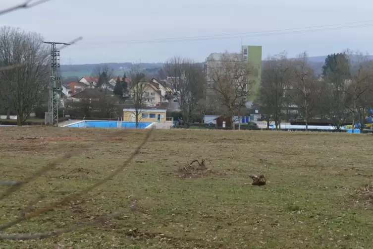 Stadtbürgermeister Jürgen Schneider geht bei optimalem Verlauf davon aus, dass die ersten Grundstücke im Baugebiet Lauersdell En