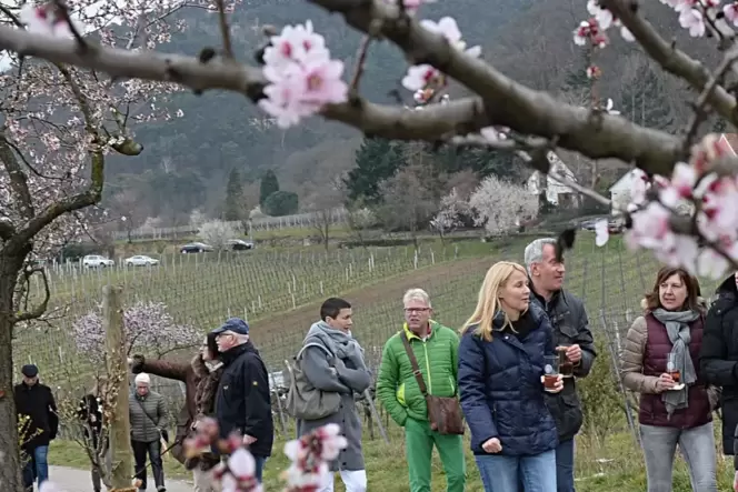 In zwei Wochen können die Gäste wieder auf der Mandelmeile flanieren und genießen.