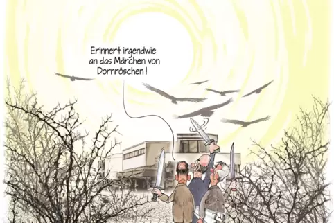 es ist keinem Prinzen gelungen, die symbolische Dornenhecke zu zerschlagen, um den Rosenplatz wachzuküssen. 