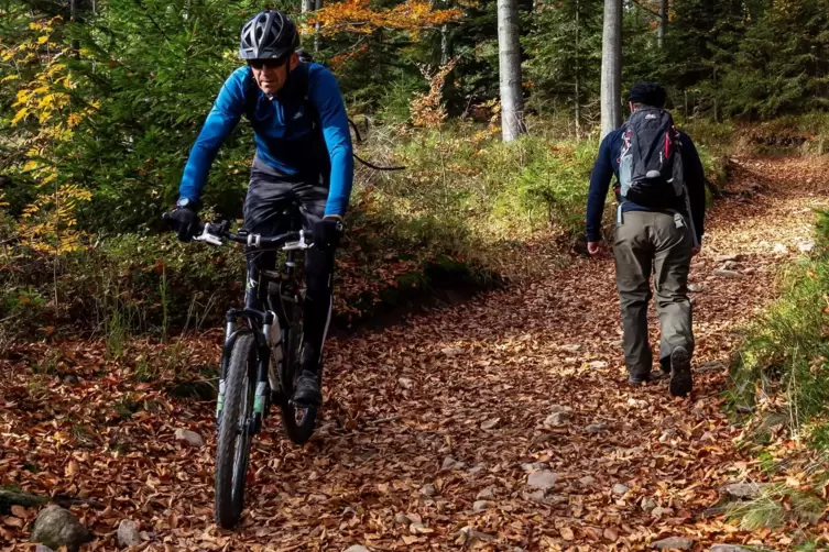 Wege für Mountainbiker und Wanderer sollen möglichst getrennt geführt werden. 