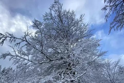 Schöner Anblick für Winterfreunde, aber ein Graus für die Verantwortlichen für den Fußball-Spielbetrieb. 