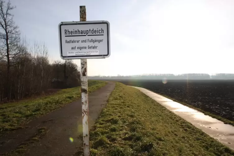 Darum geht’s: Der Abschnitt des Rheinhauptdeichs zwischen Kollerstraße und Reffenthal bei Otterstadt ist noch nicht für ein Jahr