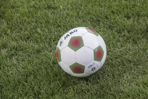 Fußball auf einem Naturrasen ist auch für Kinder und Jegndlich attraktiver. 