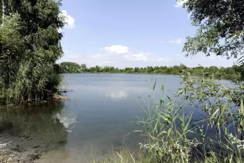 Der Naturschutzverein will möchte rund um den Nachtweideweiher neue Bäume pflanzen. 