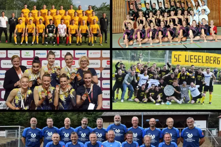 Wer wird Mannschaft des Jahres 2022 in Pirmasens? Fünf Teams stehen zur Wahl: die Turngruppe der TS Rodalben, die Sportgymnastik