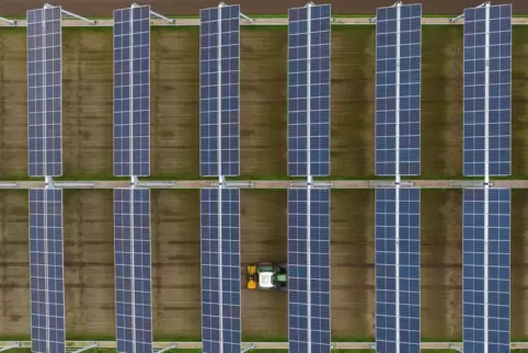 Bevor es an die Agro-Photovoltaik - wie auf dem Bild zu sehen - geht, sollten erst vorhandene Potenziale genutzt werden, kritisi