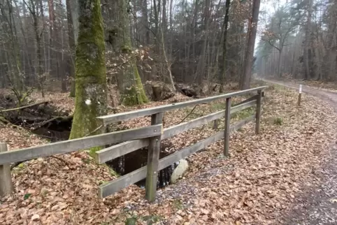 Vor diesem Abgrund ist der Bürger künftig durch das Geländer geschützt.