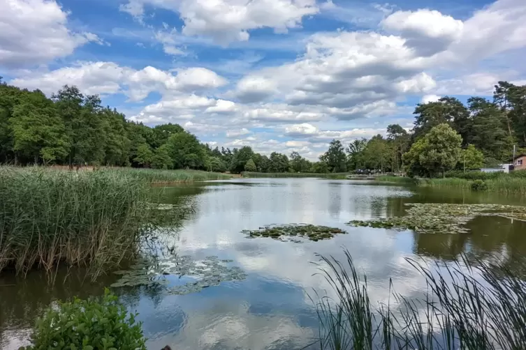 Schön ohne Zaun: Das Naherholungsgebiet Seewoog in Miesenbach lockt viele Besucher an. Eine Umzäunung des Wassers würde das Natu