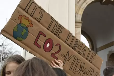 Ganz so eilig wie beispielsweise die Mitstreiter der Bewegung Fridays for Future haben es einige Frankenthaler Kommunalpolitiker Ganz so eilig wie beispielsweise die Mitstreiter der Bewegung Fridays for Future haben es einige Frankenthaler Kommunalpolitiker