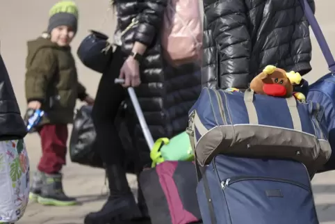 855 Flüchtlinge aus der Ukraine sind 2022/23 in Ludwigshafen angekommen.