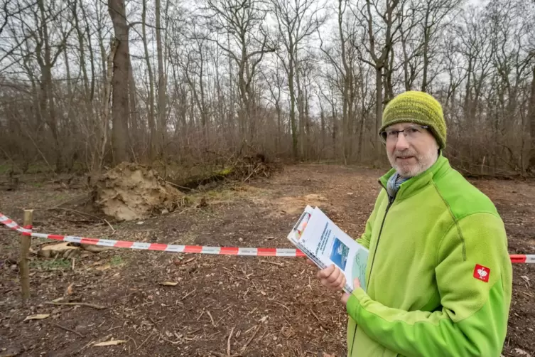 Plattgemacht: Biologe und Gutachter Peter Keller (63) vor der Rodungsfläche im Speyerer Auwald in Nähe der Anlegestelle der rhei