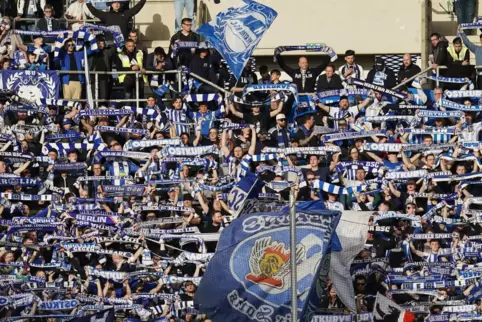 Hertha-Fans beim Spiel in Sinsheim. 