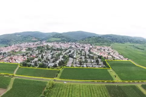 Das Gebiet am Schwabenbach umfasst rund 90 Grundstücke. 