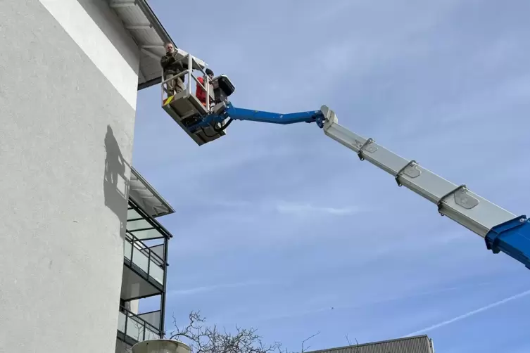 Es geht nach oben mit den Nistk&auml;sten.