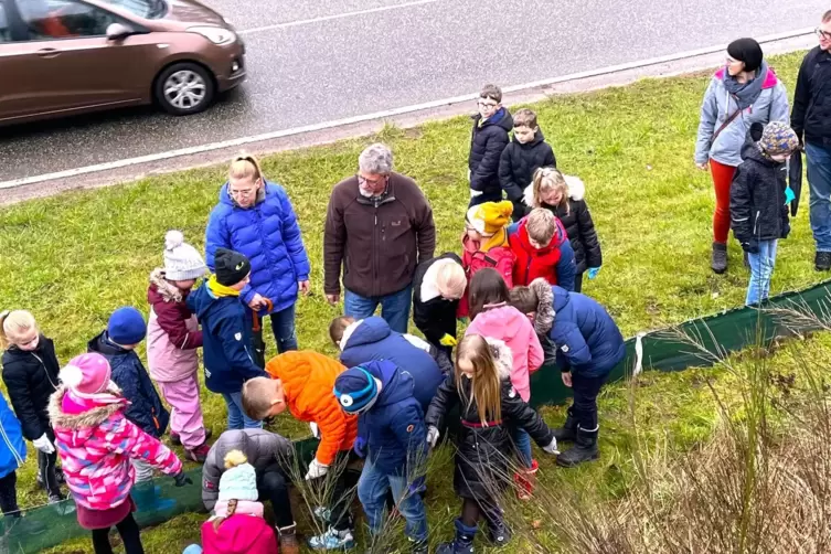 Viele helfende H&auml;nde der Contwiger Grundsch&uuml;ler werden am Kr&ouml;tenschutzzaun t&auml;tig. 