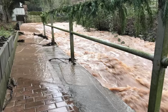 Dass das Leiningerland sich um den Hochwasserschutz kümmern sollte, zeigen Bilder wie dieses aus Obrigheim von 2021.