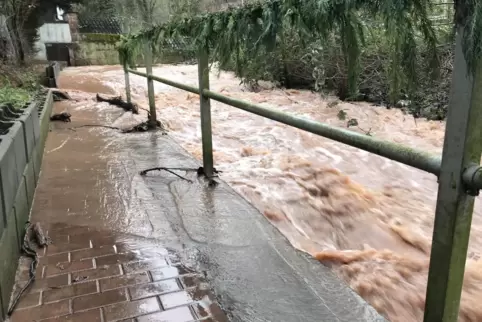 Dass das Leiningerland sich um den Hochwasserschutz kümmern sollte, zeigen Bilder wie dieses aus Obrigheim von 2021. 