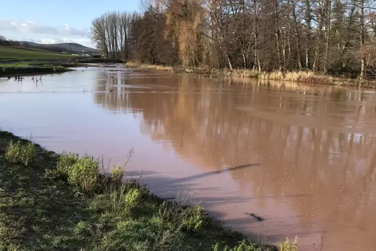 So sah das Renaturierungsgebiet in Ebertsheim beim Hochwasser 2021 aus. 