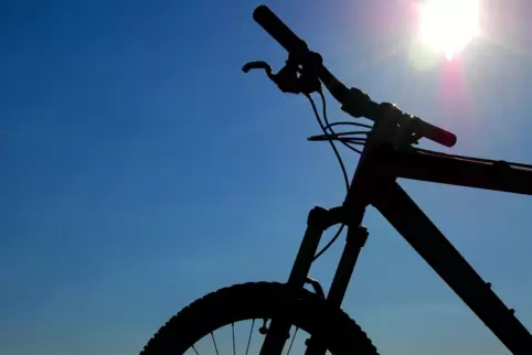 Radfahrer fahren durch die Pfalz und sammeln dabei Geld für die Krebsforschung. 
