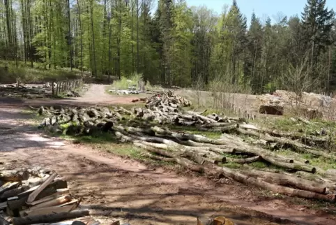 Die Erdaufschüttung für den Holzlagerplatz Ebersberg könnte nachträglich genehmigt werden. 