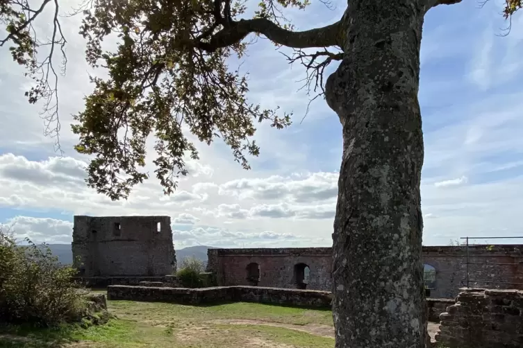 Ruinen-Panorama: Von Lindelbrunn &ndash; oder auch Lindelboll &ndash; sind fast nur Au&szlig;enmauern erhalten. 