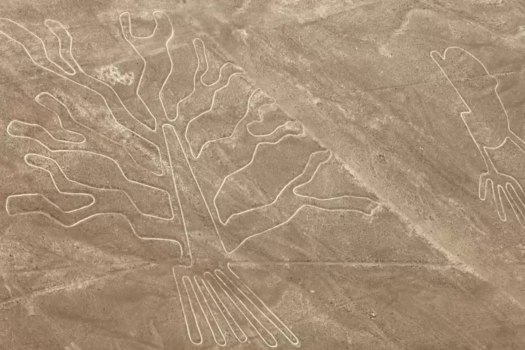 Linien, Dreiecke, Spiralen, Figuren wie Katzen, Kolibris oder Pflanzen: Rund 1500 Scharrbilder wurden bisher in Nazca entdeckt. 