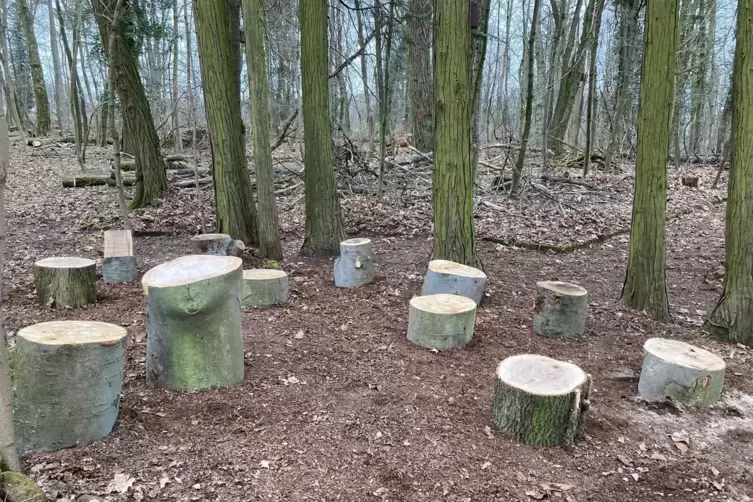 &bdquo;Lesepl&auml;tze&ldquo; sind entstanden. 