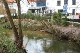 Die Gefahren, die Hochwasser und Starkregen mit sich bringen, sollen in der Verbandsgemeinde Waldfischbach-Burgalben durch ein K