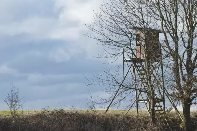 Wer bei der Aktion »Mit dem Jäger auf den Hochsitz« dabei war, konnte viel über die Aufgaben der Jäger erfahren – insbesondere,