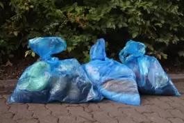 Frühjahrsputz mit blauen Müllsäcken. 