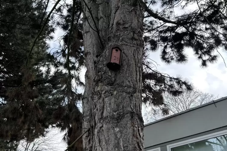 30 Nistk&auml;sten gibt es.