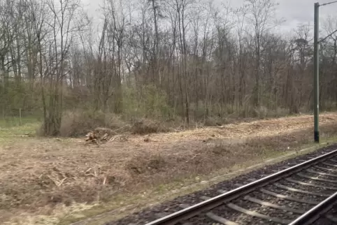 Rückschnitt an der Bahn: der bearbeitete Streifen zieht sich über mehrere Kilometer von Schifferstadt bis zur Siemensstraße in S