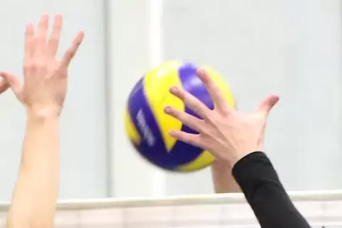 Die VBC-Volleyballer können sich über eine gute Saison freuen. 