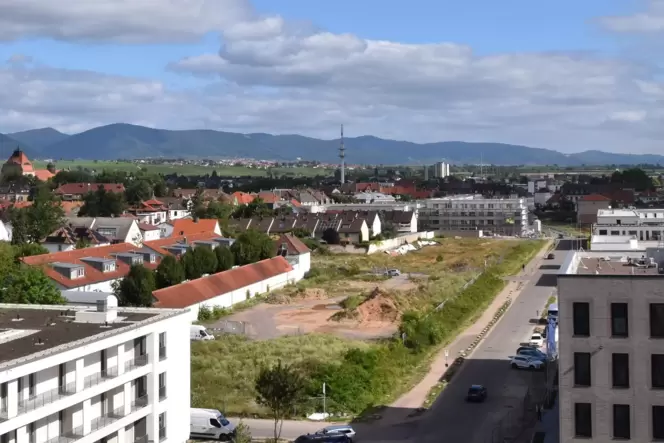 Auf dem größten Teil dieses Grundstücks will Grünewalt bauen. Auf dem größten Teil dieses Grundstücks will Grünewalt bauen.
