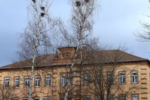 Das Max-Slevogt-Gymnasium. 