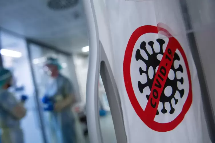 In der Corona-Forschung gelten die Lama-Antik&ouml;rper als Hoffnungstr&auml;ger. 