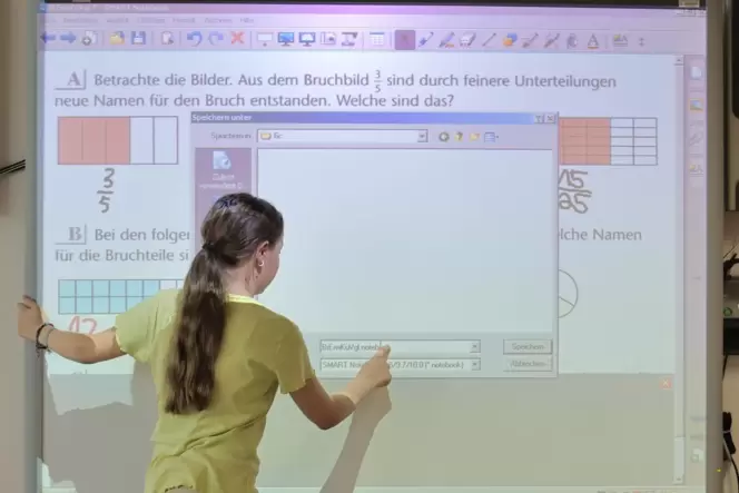 Keine lange Lebensdauer: Die Whiteboards, interaktive Bildschirme, die in den Grundschulen in Steinwenden und Hütschenhausen Kre