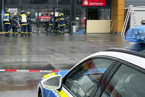 Einsatzort Rheingönheim