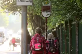 Wie sicher sind die Schulwege in Dudenhofen?