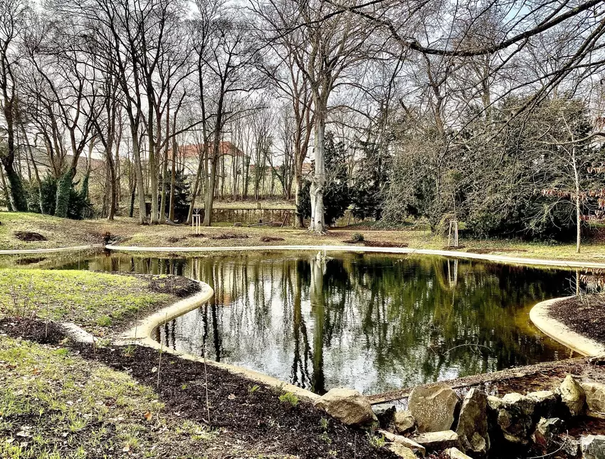 Der Uferrand ist bepflanzt, die Bauzäune sind weg. Jetzt können Schlossgartenbesucher den freien Blick auf den großen Teich geni